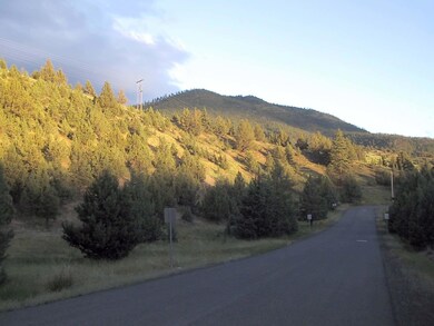 0 Lot 704 Patterson Dr unit 220104618, Canyon City, OR 97820 - photo 7