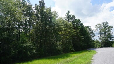 Lot #9 Mill Creek Rd, Lucedale, MS 39452 - photo 3