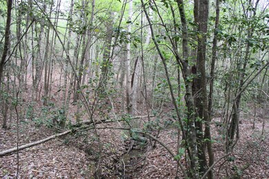 N/A Walton Rd, Nacogdoches, TX 75964 - photo 6