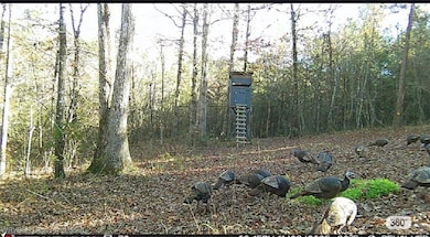 / Mickels Switch Rd, Danville, AR 72833 - photo 4