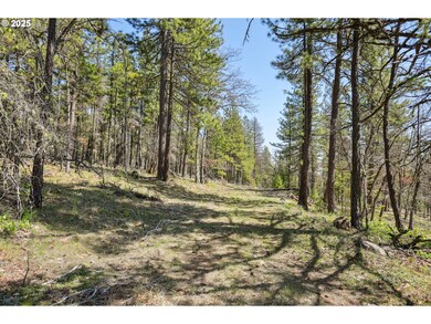 0 Nka Tyler Rd, Goldendale, WA 98620 - photo 6