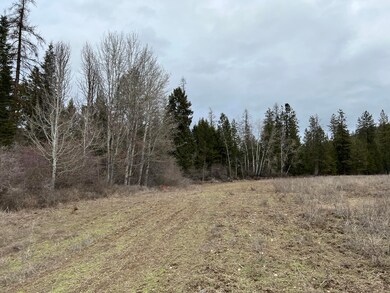 C-LOT 6 U S 395, Chewelah, WA - photo 3