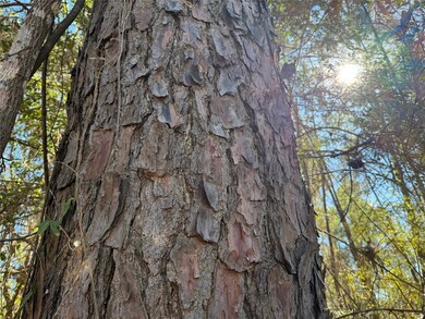 T-5 Eldridge Rd, Cleveland, TX 77328 - photo 4