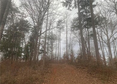 00 N Catherine St, Walhalla, SC 29691 - photo 2