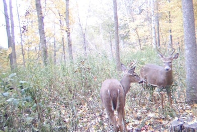 0 420th Ave unit NST6752930, Menomonie, WI 54751 - photo 3