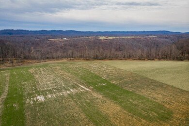 15 Ac. Rocky Point Rd, Cookeville, TN 38506 - photo 7