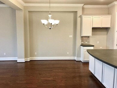 3613 Cedar Vista Ln, Houston, TX 77018 - photo 5