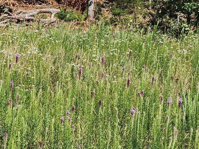 000 Stone Ridge Rd Tract B, Huggins, MO 65484 - photo 4