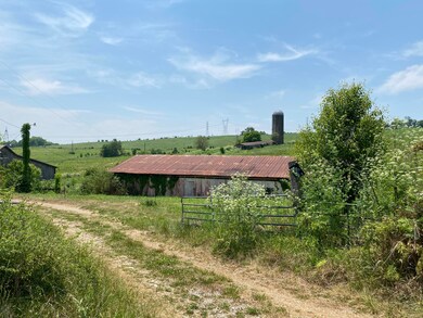 IMG_1352