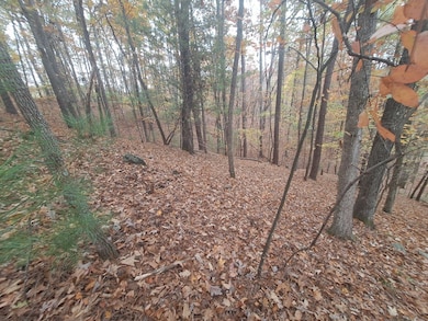 LT2909 Newton Ln, Ellijay, GA 30540 - photo 5