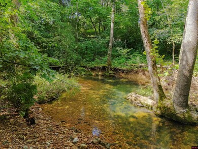 13-0.4-20-000-0 Cr 544, Caulfield, MO 65626 - photo 6
