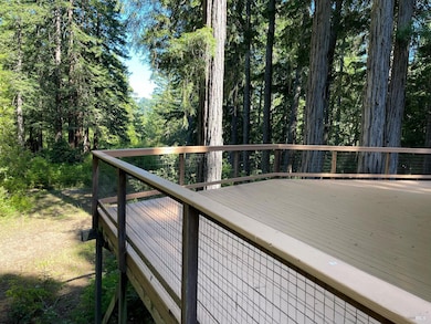 Forest and distant mountain views from the front deck....