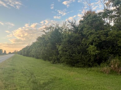 0 Hwy 167 unit 24-531, Cave City, AR 72521 - photo 2