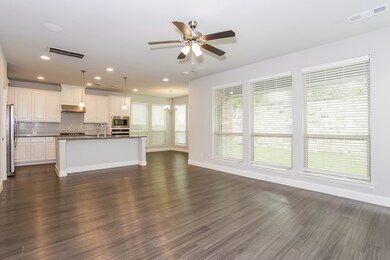 3121 Damsel Sauvage Ln, Lewisville, TX 75056 - photo 3