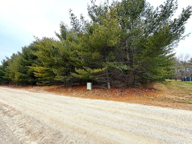 Lot 4 Emery Rd, Parsonsfield, ME 04047 - photo 6