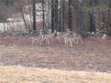 175 Chellis Rd, West Newfield, ME 04095 - photo 4