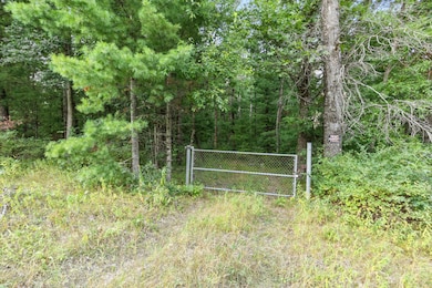 4201 E 20th St, White Cloud, MI 49349 - photo 2