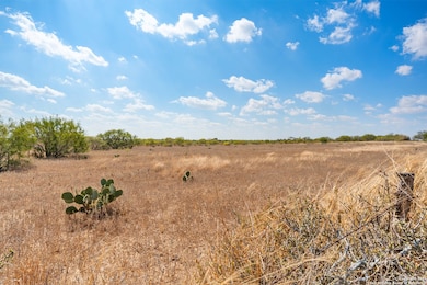 2849 Farm To Market Road 1333, Poteet, TX 78065 - photo 3