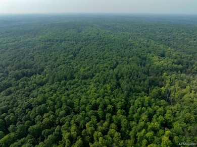 TBD S Ferguson Rd, Eben Junction, MI 49825 - photo 2