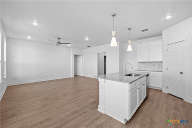 8909 Chalk Maple Dr, Killeen, TX 76542 - photo 7