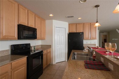 21634 Belgian Ct, Mount Dora, FL 32757 - photo 7