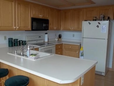 362 Ridgeview St unit Woodbridge 7, Brian Head, UT 84719 - photo 4