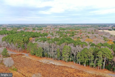 Parcel #169 Georgetown Rd, Berlin, MD 21811 - photo 7