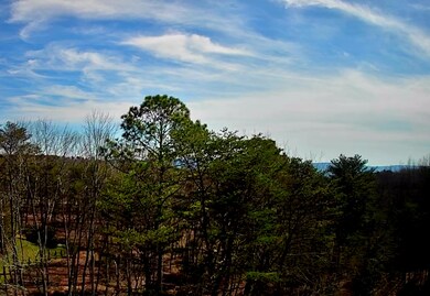 IMG_20250223_1300059