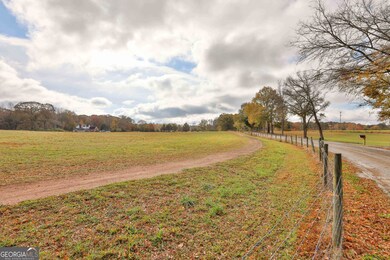 LOT 3 Mask Road - Hanner's Farm S, Brooks, GA 30205 - photo 5