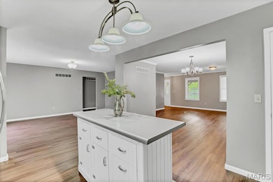 3 Sunny Hill Blvd, Saint Peters, MO 63376 - photo 7