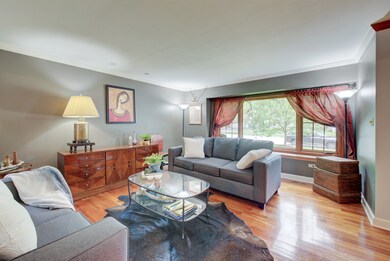 1195 E Gartner Rd, Naperville, IL 60540 - photo 6