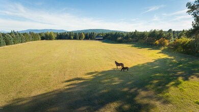 Hores Pasture/ Hay Field