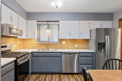 S071 Leonard St, Winfield, IL 60190 - photo 7