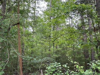 Lot 3a Elberton Hwy, Lincolnton, GA 30817 - photo 7