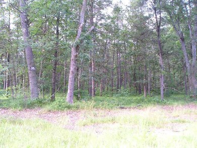 1276 W Coolidge St, Bitely, MI 49309 - photo 2