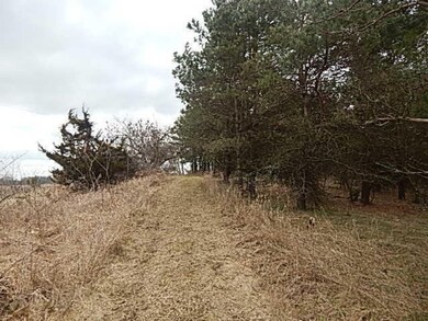 DSCN4650