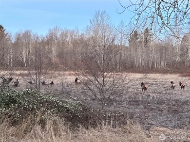 5 Wiley Rd, Hoquiam, WA 98550 - photo 4