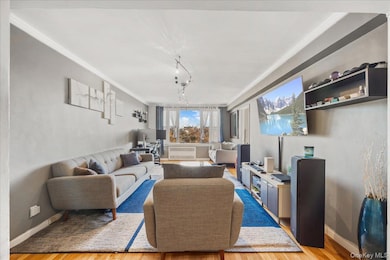 Saratogian unit 5E, Bronx, NY 10470 - photo 4