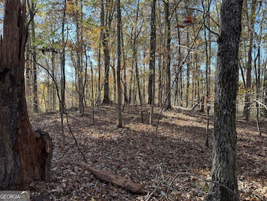 0 Thurman Baccus Rd unit 10647779, Social Circle, GA 30025 - photo 3