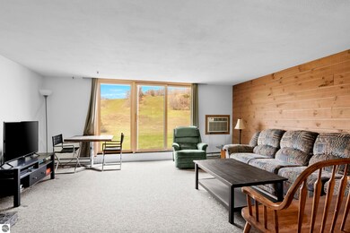 5000 S Townhouse Dr unit B4, Cedar, MI 49621 - photo 7