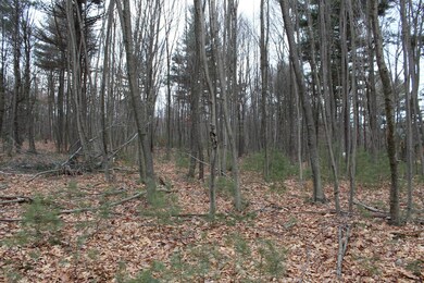 13 Longhorn Rd, Union Township, PA 16652 - photo 4