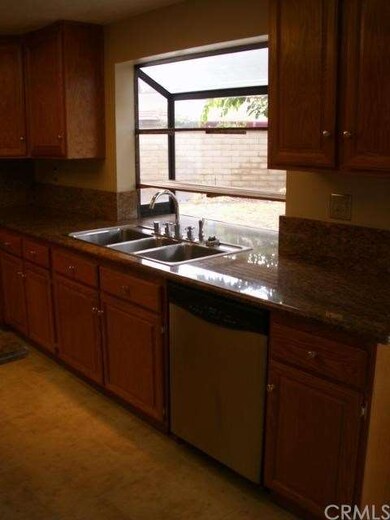 Kitchen dishwasher and cabinets