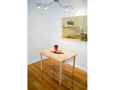 12 Riverside St unit 2-4, Watertown, MA 02472 - photo 3