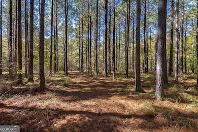 1321 Shepherd Rd, Madison, GA 30650 - photo 2