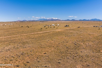 96 W Concho Rd, Valle, AZ 86046 - photo 2