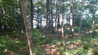 Farm View (2)