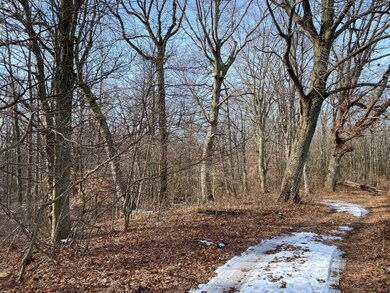 0 Red Arrow Hwy, Harbert, MI 49115 - photo 2