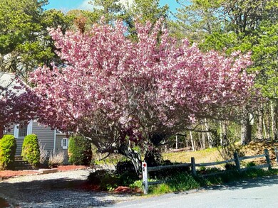 116 Trout Brook Rd, Cotuit, MA 02635 - photo 4