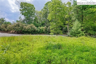 Lots 127, 128, 129 Cone Rd, Blowing Rock, NC 28605 - photo 5