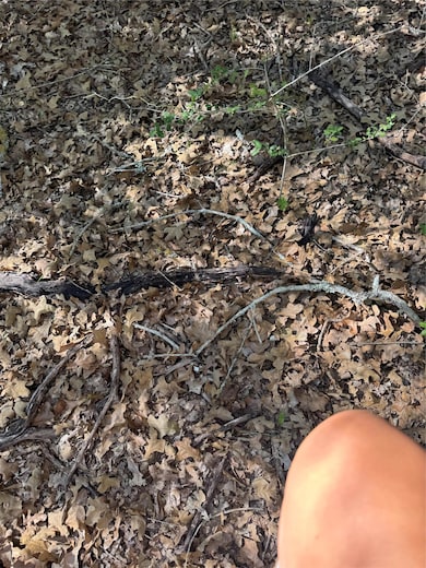 Lot 195 Kaelepulu Dr, Bastrop, TX 78602 - photo 7